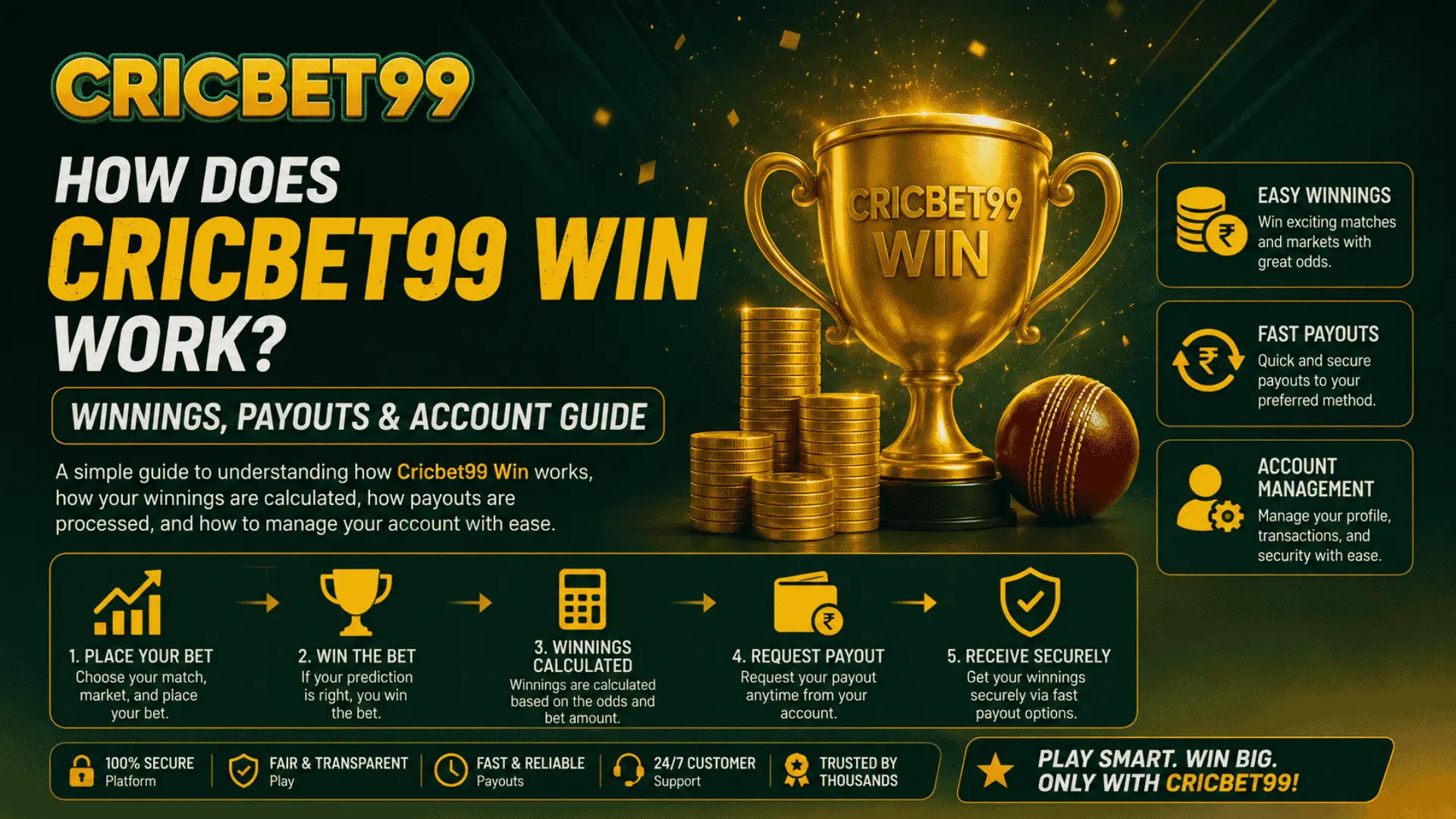 How Does Cricbet99 Win Work Winnings, Payouts & Account Guide